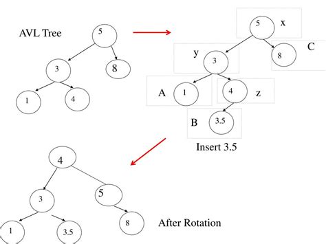 AVL Tree Formula 的图像结果