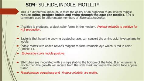 Sulfur Indole Motility