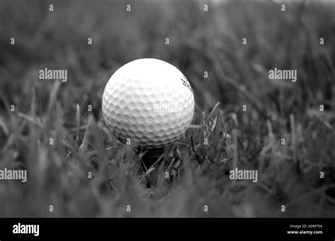 Golf Ball and Tee 的图像结果