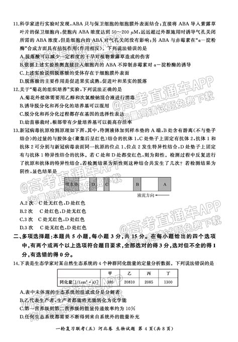 2023九师联盟新高考高三11月检测（2023邯郸高三12月质检攻略） - 哔哩哔哩