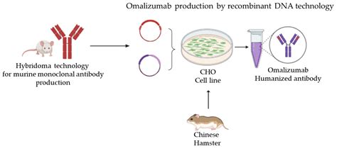 Real-Life Effects of Omalizumab on Chronic Rhinosinusitis with Nasal ...