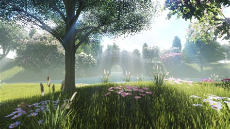 Image result for Nature Motion Graphics