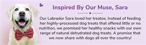 Buy Heads Up For Tails Sara's Dog Treats (Chicken Liver With Organic ...