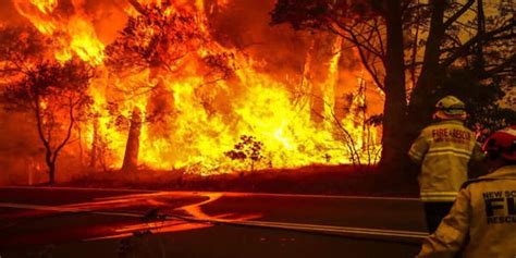 Australian CofC exchange student describes impact of deadly bushfires
