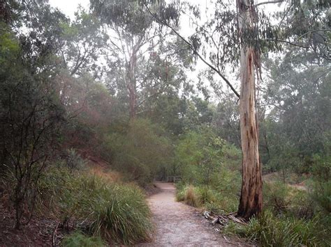 DAMPER CREEK RESERVE - All You Need to Know BEFORE You Go 2026 (with ...