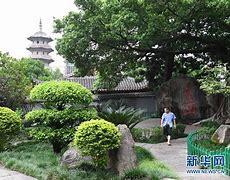 Image result for 显山露水