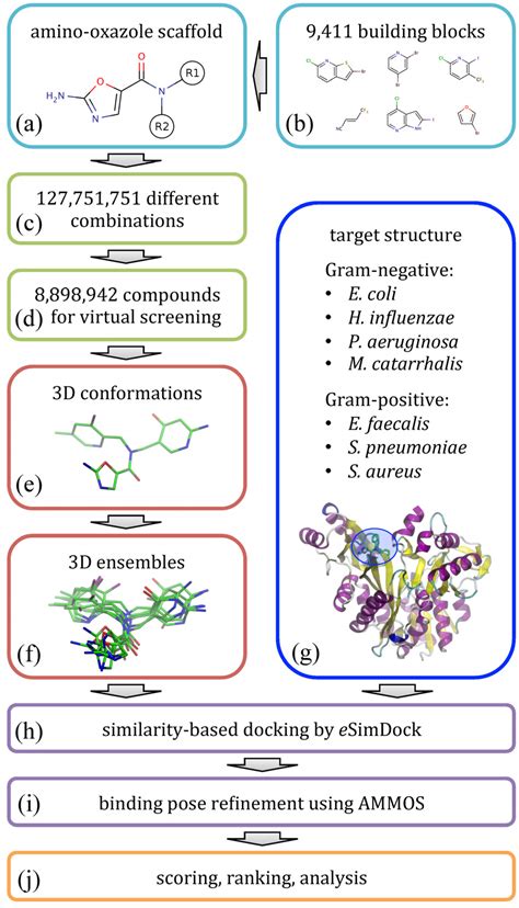 Computational Redesign of Bacterial Biotin Carboxylase Inhibitors Using ...