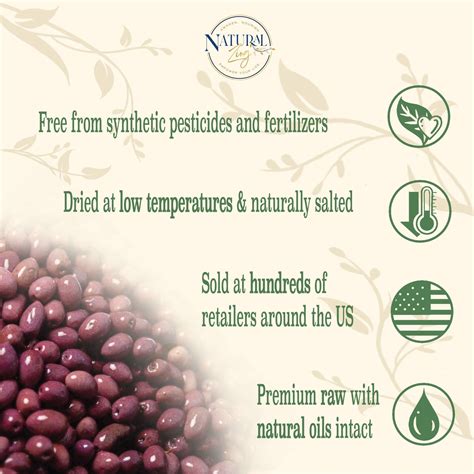 Organic Sun-Dried Peruvian Botija Olives | No salt added | Low Sodium ...