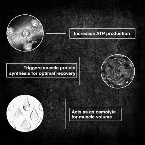Shikanji Creatine Monohydrate 125g – Beastlife