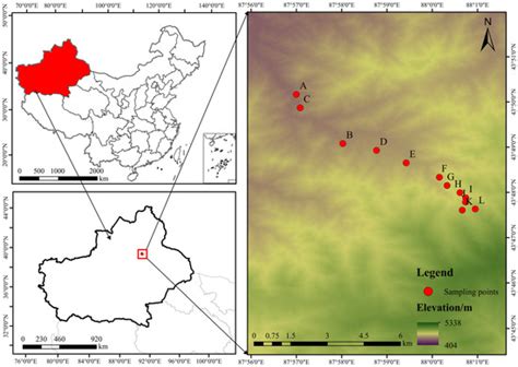Altitudinal Variation in Effect of Climate and Neighborhood Competition ...