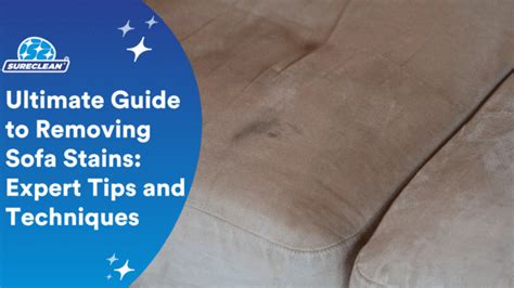 Image result for HowToBasic Stain Sofa