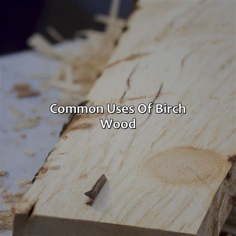 What Color Is Birch Wood - colorscombo.com