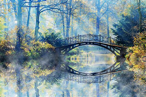 美丽幽静森林小桥流水高清图片下载-找素材