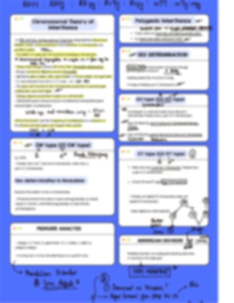 Image result for Inheritance Flowchart