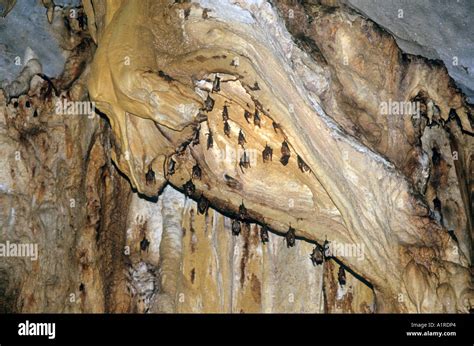 Cave 的图像结果