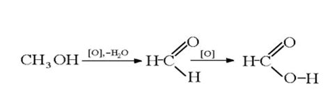 Kristu Jayanti College, Bengaluru