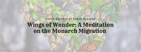 Wings of Wonder: A Meditation on the Monarch Migration Photo Exhibit ...