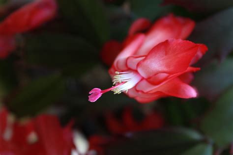 Image result for Raw File Format Digital Camera