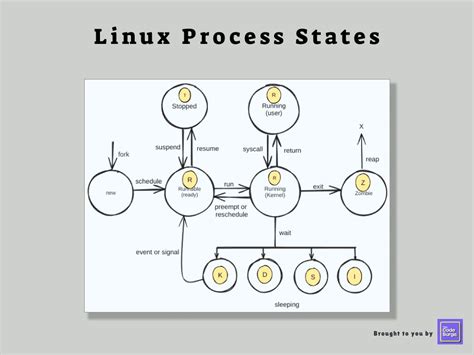 Image result for Linux Process Instantiation