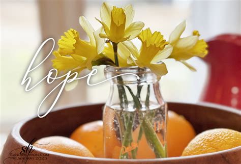 Image result for Spring Hope Reflection