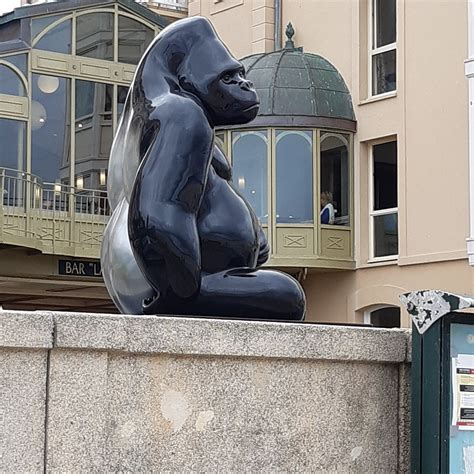 LE GORILLE DES THERMES MARINS (2024) All You Need to Know BEFORE You Go ...
