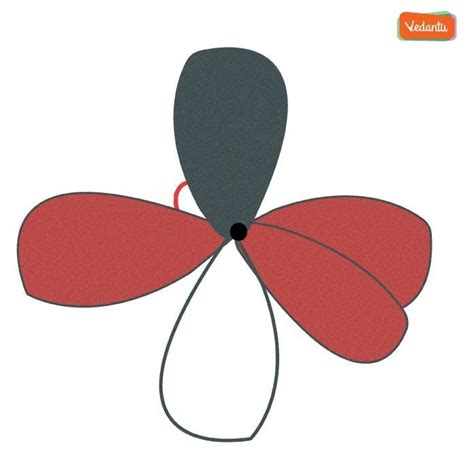 Image result for Hybridization Examples