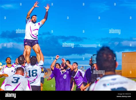 Rugby Match 的图像结果