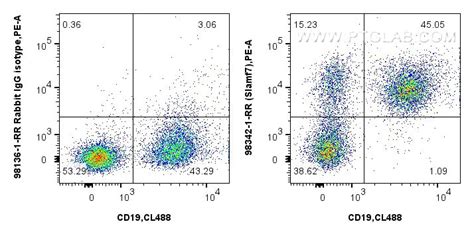 SLAMF7/CD319 antibody (98342-1-RR) | Proteintech