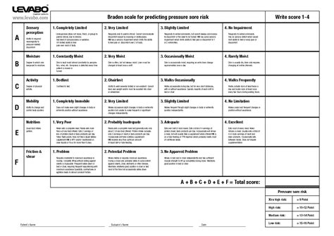 Braden Scale Printable - Printable Free Templates