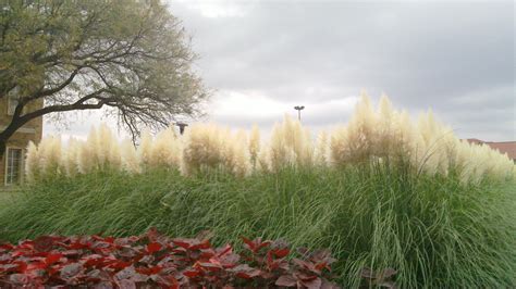 Elevation of Lubbock High School, 19th St, Lubbock, TX, USA ...