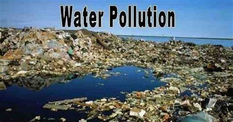 Water Pollution in Hindi) | जल प्रदूषणः एक गम्भीर समस्या | हिंदी ...