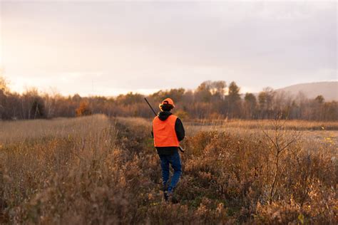 Rifle deer hunting season begins in Pennsylvania Saturday, with two ...