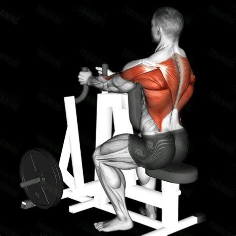 Image result for Chest Supported Machine Row