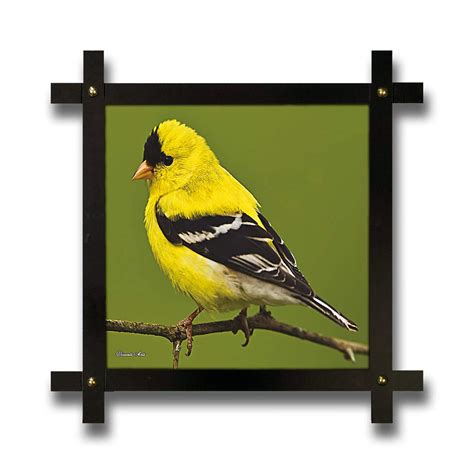 Poster N Frames Cross Wooden Frame Hand-Crafted with Photo of Bird Size ...