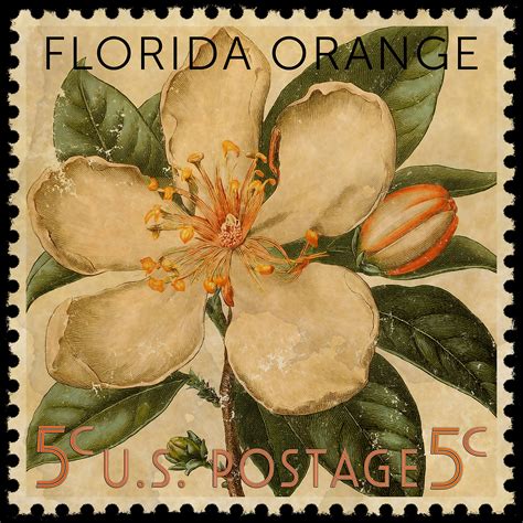 Trinx Florida State Flower Orange Blossom Postage Stamp by Grotto ...