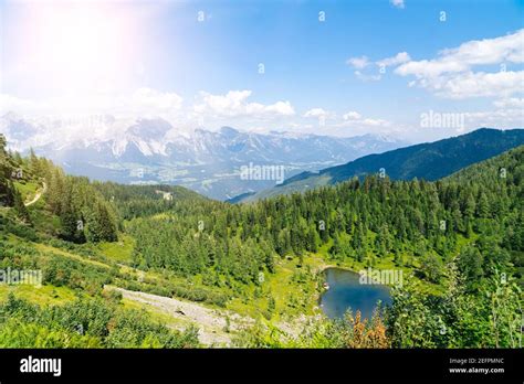 View 的图像结果