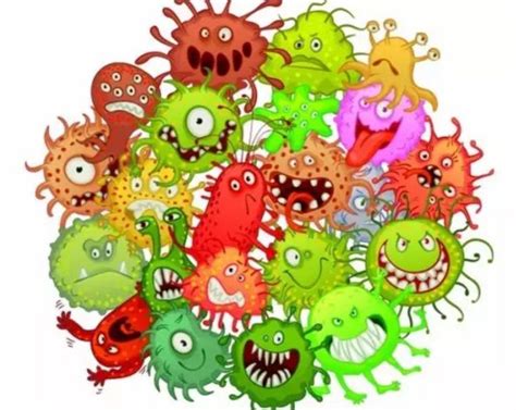 感染病原体后的转归院内感染常见病原体2022已更新今日资讯