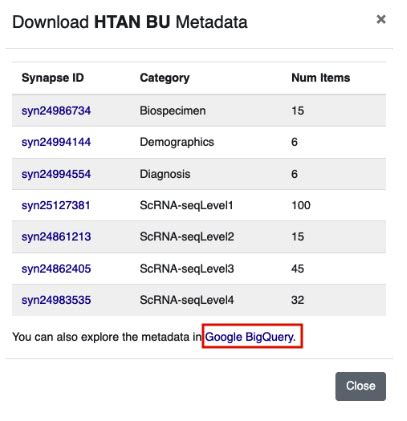 Image result for Biq Query Table Image