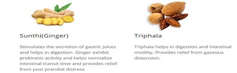 Gasex Himalaya ,100 Tablets Improves Digestion Relieves Trapped Gasses ...