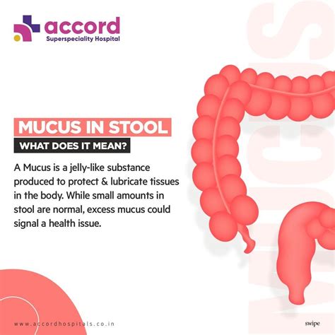 Sometimes, our body sends subtle signals that something isn't quite right — like noticing mucus ...