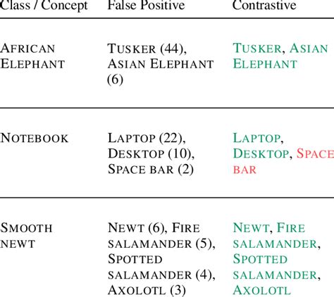 Algorithm Code Examples 的图像结果