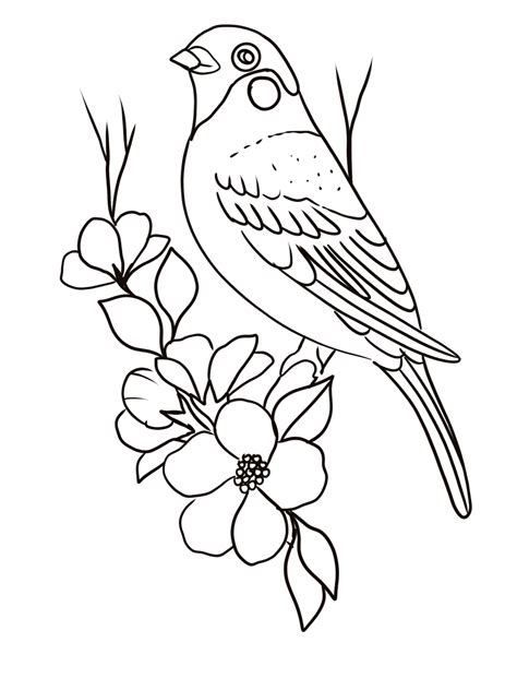 Dibujos Sencillos En Blanco Y Negro