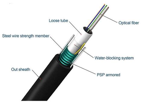 Image result for 1-Wire O2 Sensor Test