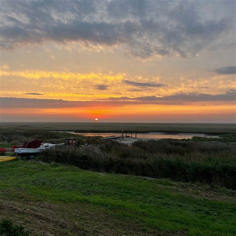 BIRDERGUIDE (Updated 2026) All You Need to Know BEFORE You Go (with Photos)