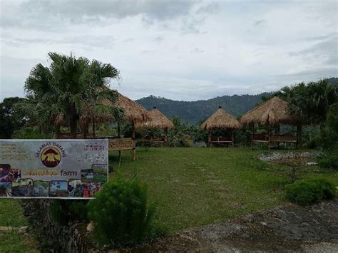 Sentul Photos - Featured Images of Sentul, Babakan Madang - Tripadvisor