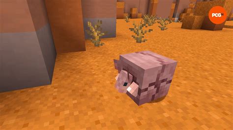 Minecraft Armadillos: Where to Find & How to Use Them (Wolf Armor Guide)
