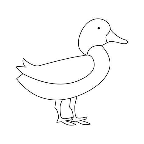 Image result for Duck Single Line Drawing