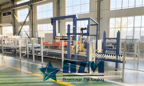 Image result for Automatic Palletizer Machine