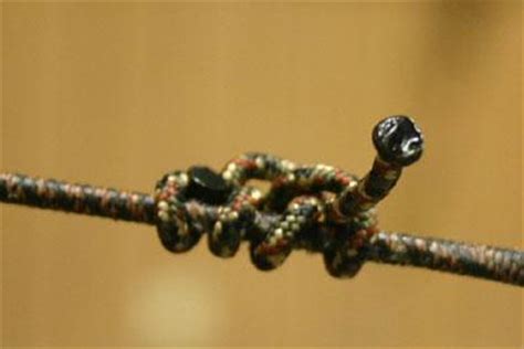 Installing D-loop 的图像结果