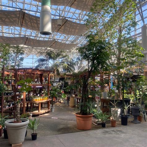 MICHI-NO-EKI KAWAGUCHI / ANGYO (2026) All You Need to Know BEFORE You ...